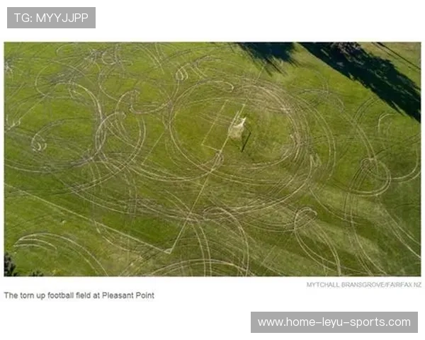 世界板球技术研究院建立草皮维护在线课堂 世界板球技术研究院建立草皮维护在线课堂