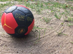 乐鱼体育官网入口-安提瓜和巴布达在中美洲锦标赛中夺冠，体育实力不断崛起